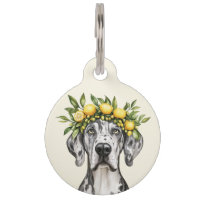 Merle Great Dane Dog Lemon Crown