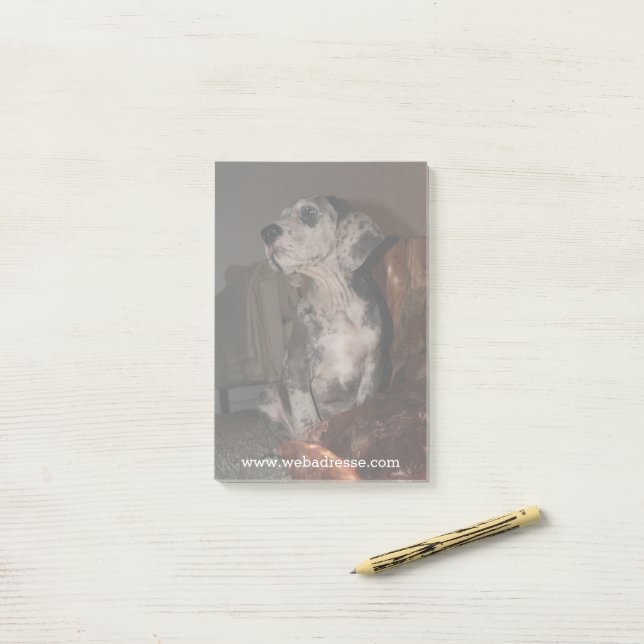 Merle Great Dane Post-it Notes (On Desk)