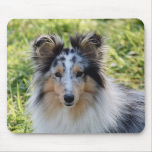 Merle Shetland Sheepdog - Sheltie Dog Mouse Pad