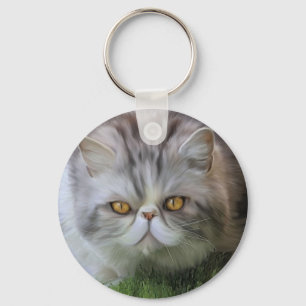 Merlin 2 key ring