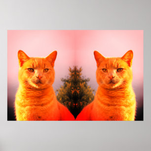 Merlin and angel twin cats poster