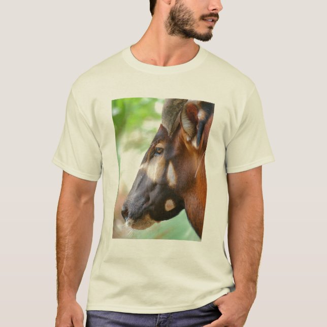 Merlin - Bongo Antelope T-Shirt (Front)