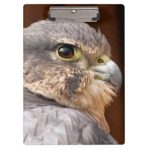 MERLIN FALCON BIRD OF PREY CLIPBOARD