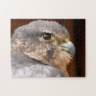 MERLIN FALCON BIRD OF PREY JIGSAW PUZZLE