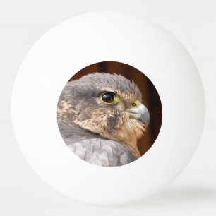 MERLIN FALCON BIRD OF PREY PING PONG BALL