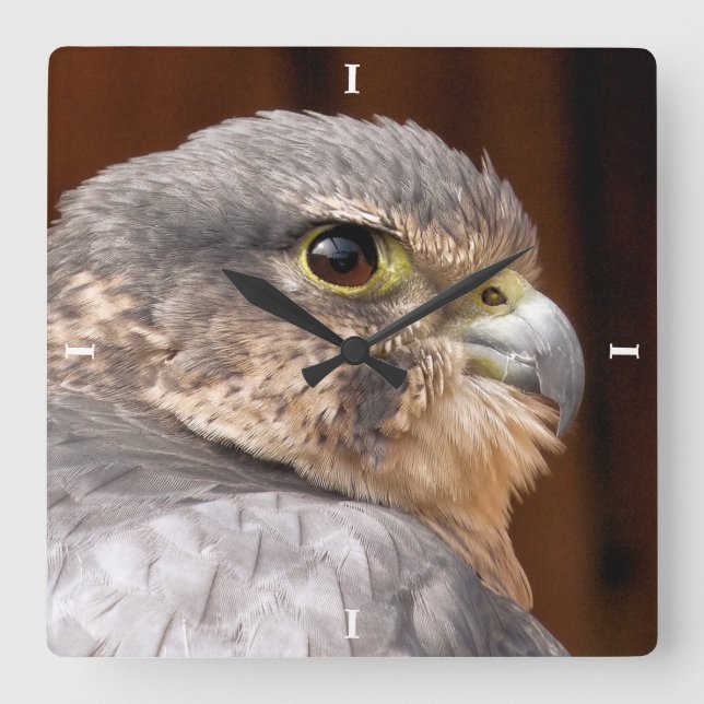 MERLIN FALCON BIRD OF PREY SQUARE WALL CLOCK (Front)
