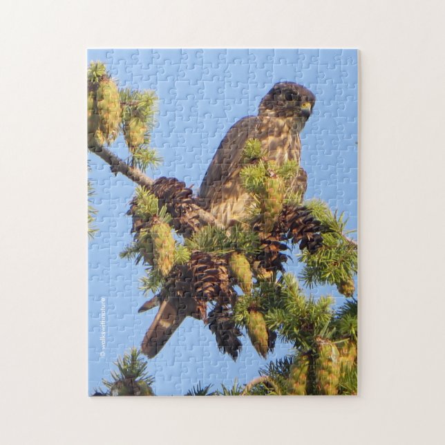 Merlin Falcon in the Pine Tree Jigsaw Puzzle (Vertical)