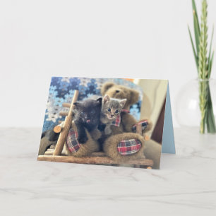 Merlin & Guinevere (1)- Cat / Kitten Greeting Card