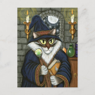 Merlin Magician Wizard Cat Magic Sorcerer Fantasy  Postcard