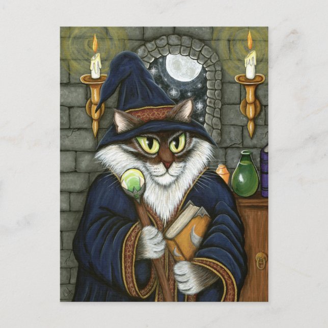 Merlin Magician Wizard Cat Magic Sorcerer Fantasy  Postcard (Front)