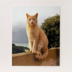 Merlin the ginger cat jigsaw puzzle