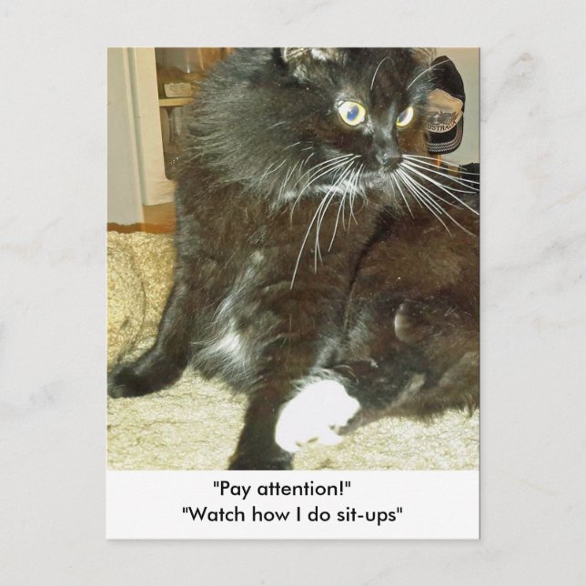 Merlin's Sit-up Exercise Postcard (Front)