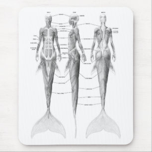 MERMAID ANATOMY MOUSE PAD