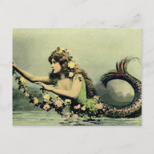 Mermaid and Roses Postcard
