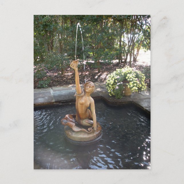 Mermaid Fountain Postcard (Front)