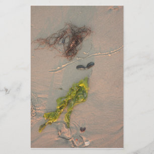 Mermaid in the Sand Flyer