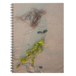 Mermaid Notebook