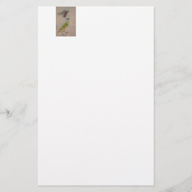 Mermaid Stationery (Front)