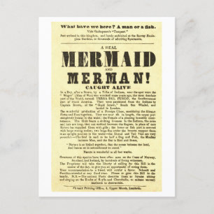 Mermaid Vintage Show Poster Oddity  Postcard