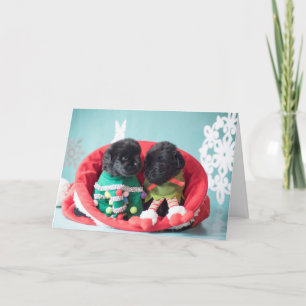 Merrily and gratefully Elf Puppies Holiday Card