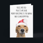 Merrry Christmas from the Dog Funny Card<br><div class="desc">This design may be personalised in the area provided by changing the photo and/or text. Or it can be customised by clicking Personalise this Template and then choosing the click to customise further option and delete or change the colour of the background, add text, change the text colour or style,...</div>
