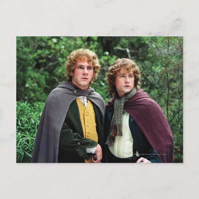 Merry and Peregrin Postcard (Front)