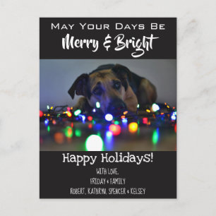 "Merry & Bright" Add Pet Photo Holiday Postcard
