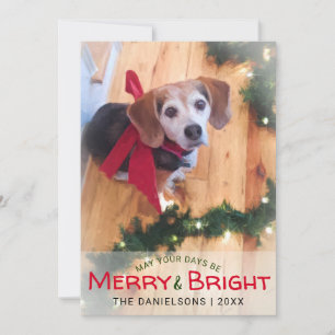 Merry & Bright Beagle Dog Red Bow Photo Christmas Holiday Card