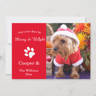Merry & Bright Custom Christmas Pet Photo Card
