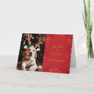Merry & Bright   Holiday Photo Card
