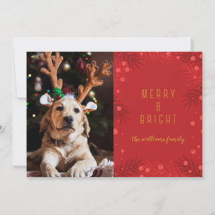 Merry & Bright   Holiday Photo Card