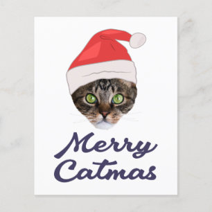 Merry Catmas, Christmas Cat Santa hat Invitation Flyer