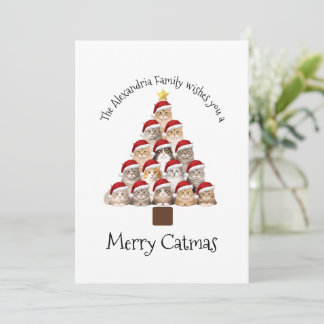 Merry Catmas Personalised Family Christmas Holiday