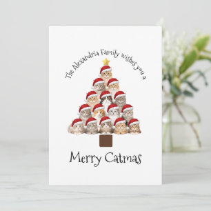 Merry Catmas Personalised Family Christmas Holiday Card