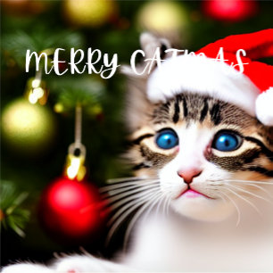 Merry Catmas Purrfect Christmas Card