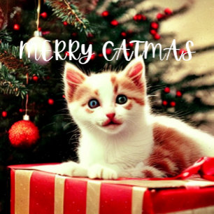 Merry Catmas Purrfect Christmas Card Small Christm Stocking