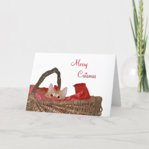Merry Catsmas Holiday Card