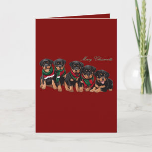 Merry Chrismutts Dog Family Holiday Greeting Card