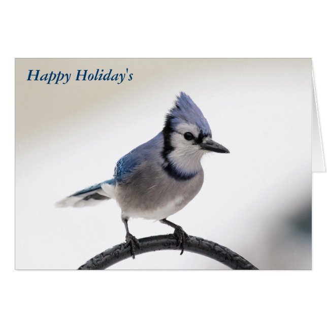 Merry Christmas (Front Horizontal)