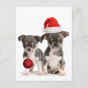 Merry Christmas And Happy New Year Holiday Postcard