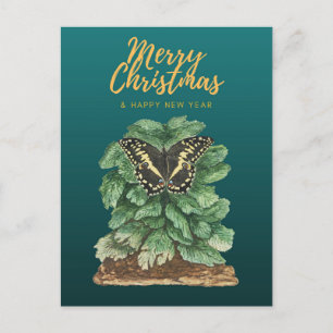 Merry Christmas and Happy New Year  Postcard