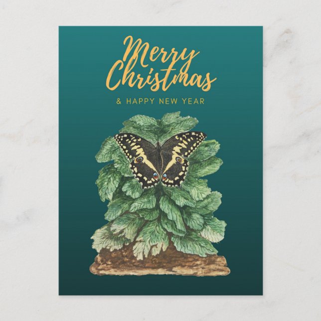 Merry Christmas and Happy New Year  Postcard (Front)