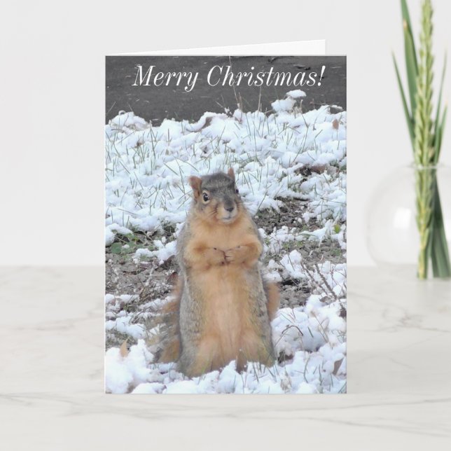 Merry Christmas and Happy New Year Squirrel Winter Card (Front)