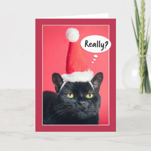 Merry Christmas Annoyed Cat in Santa Hat Humour Holiday Card