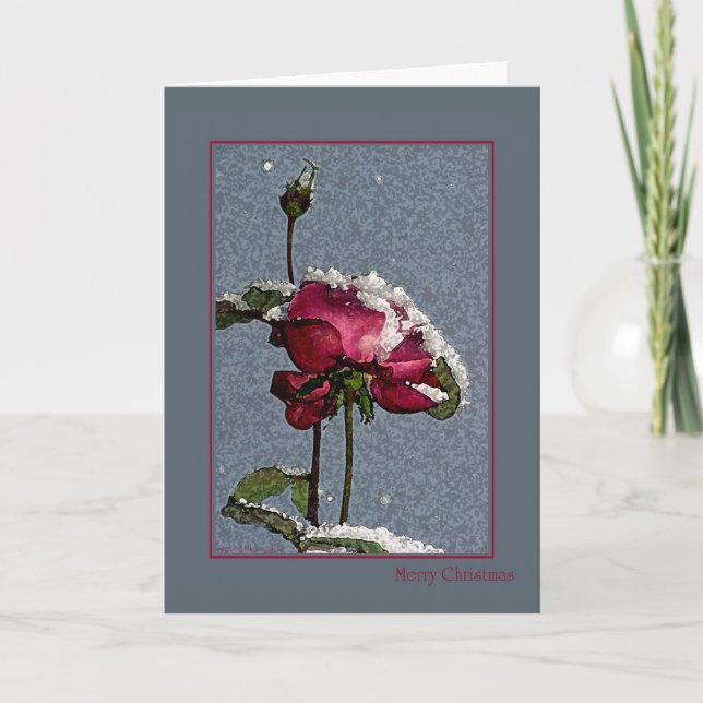 Merry Christmas - artsy red rose with snow Holiday Card (Front)