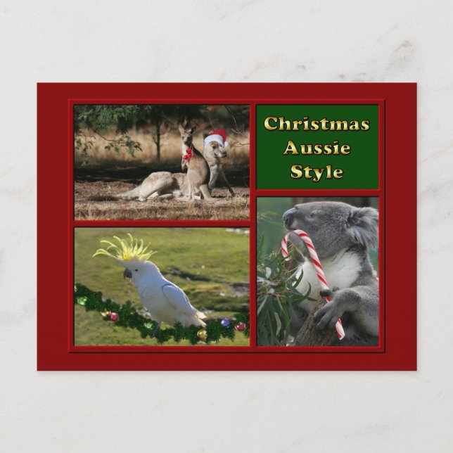 Merry Christmas Aussie Animals Holiday Postcard (Front)
