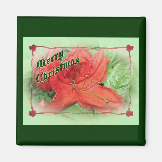 Merry Christmas Azalea Magnet (Front)
