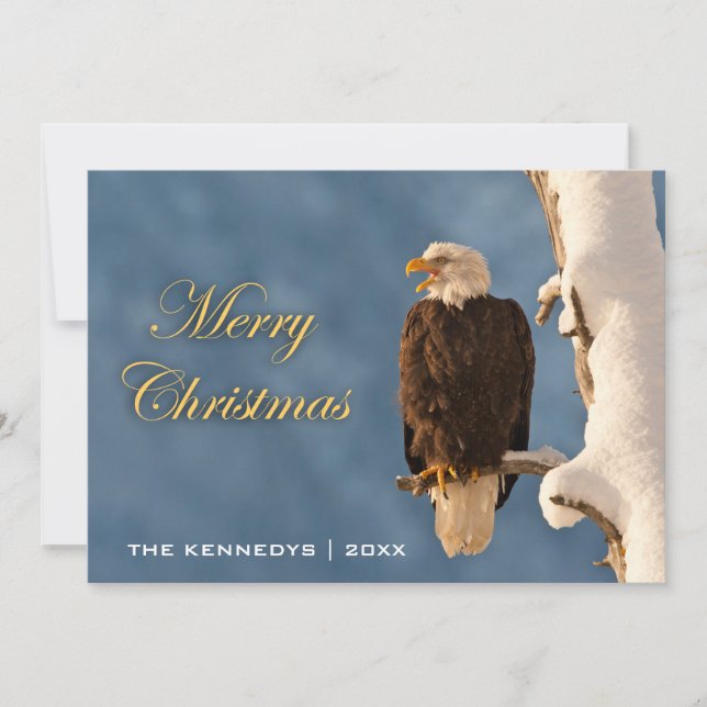 Merry Christmas - Bald Eagle Perching Holiday Card (Front)