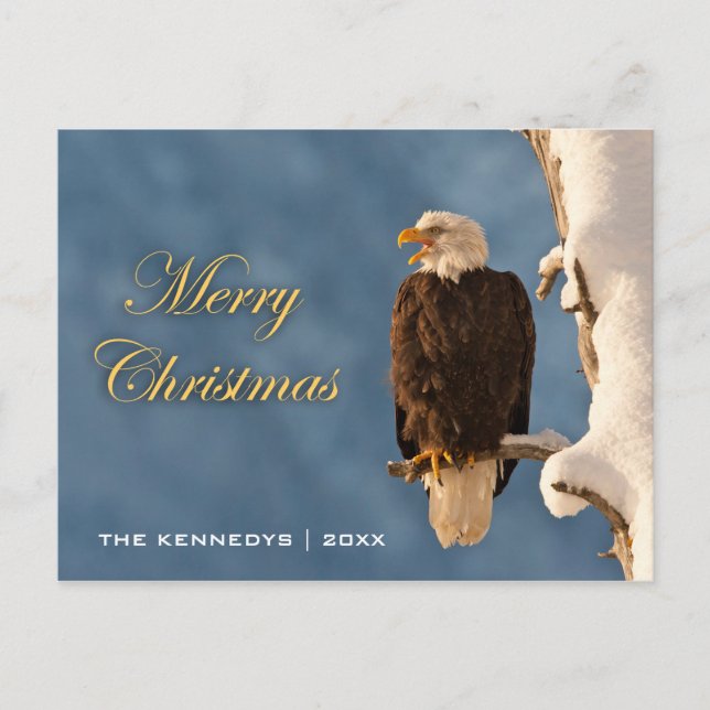Merry Christmas - Bald Eagle Perching Holiday Postcard (Front)