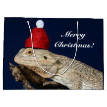 Merry Christmas Bearded Dragon Lizard - Santa Hat